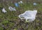 Plastic bags dumped in the meadow