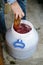 A plastic barrel with crushed grapes. The process of making wine