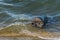 Plastic Barrel Floating on the Lake