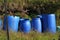 Plastic barrels for fermentation of fruits. They are arranged in a group in garden in autumn.