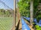 Plastic benches and flowering trees in the city park near the stadium