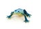 Plastic blue frog toy