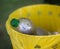 Plastic botle collected separate in bin