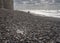 Plastic bottle blown onto the rocky beach at Birling Gap, Sussex