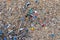Plastic bottle caps scattered on shore, environmental pollution