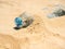 Plastic bottle on sandy beach. Close-up empty uncapped used plastic drinking water bottles piled up with sand.