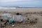 Plastic bottle on sea coast, pollution free ecosystem planet save concept