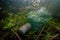 plastic bottle trapped in netting, surrounded by fish and aquatic plants