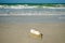 Plastic Bottle Washed Up On a Gulf Coast Beach