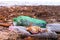 Plastic bottles, died crabs and other debris among the seaweed on the sandy seashore.