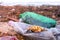 Plastic bottles, died crabs and other debris among the seaweed on the sandy seashore.