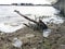 Plastic bottles and glasses on the sandy beach. Dirty water in which zllichny garbage floats. White foam on the shore