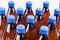 Plastic bottles with home made craft beer on white background. Craft beer brewing from grain barley pale malt. Ale or lager from