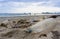 Plastic bottles left on the dirty sand beach