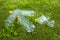 ..Plastic bottles lie on the green grass. Pollution of nature. Rubbish on the lawn