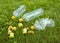 ..Plastic bottles lie on the green grass. Pollution of nature. Rubbish on the lawn