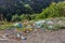 Plastic bottles and other trash along the mountain road. A lot of trash at roadside. Concept of environmental pollution