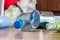 Plastic bottles, paper and metal cans are scattered across the kitchen floor