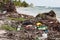 Plastic Bottles Washed onto Caribbean Beach