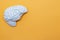 Plastic brain with space for text. Orange background. World Brain Day July 22.