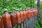 Plastic brown beer bottles hanging on a fence close-up perspective.