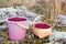 Plastic bucket and basket full of red bilberries on a moss in the Karelian forest, Russia