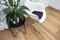 Plastic bucket chair with green plant modern green interior