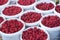 Plastic buckets of fresh-picked red raspberries at farmer\'s market