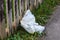 Plastic carrier bag thrown away as rubbish