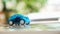 Plastic close up toys, blue car shaped