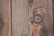 Plastic compass over a wooden background