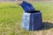 Plastic compost bin in the meadow in spring