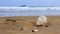 Plastic cup thrown like garbage on the sand of the Enseda beach