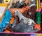 Plastic figures of wild animals in a box: black and white zebra, gray rhino, blue zebra, brown bull and orange tiger. Many