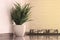 A plastic flowerpot on the background of a domestic kitchen on a shiny marble.