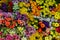 Plastic flowers background 3