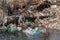 Plastic and foam garbage floating on the surface of the river