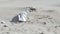 Plastic foil pollution in beach sand