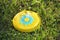 Plastic frisbee flying disc lying in the grass in the park. Children`s toy for active outdoor games.