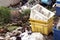 Plastic fruit Basket Crate box and Pile of Waste plastic bags, Plastic bag in water waste rotten river, Garbage moss in sewage