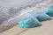 Plastic garbage bags with seaweed.