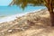 Plastic garbage carried by the sea wave on the shore of a tropical beach with palm trees. Ecology and care for nature