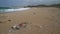 Plastic and Garbage in the ocean washed ashore and collected on waste bags on the beach. From North Shore, Hawaii, Big