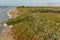 Plastic garbage pollution along the waters edge in grass with discarded trash and bottles for environmental concepts