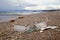 Plastic garbage thrown to the seashore