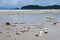 Plastic garbage thrown to the seashore in Thailand