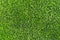 Plastic grass with rubber floor for Indoor sport