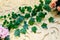 Plastic green leaf decorated wedding decor background.