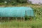 Plastic greenhouse completely covered with green protection net during summer used for growing tomatoes surrounded with high uncut