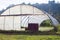 Plastic greenhouse for growing organic vegetables in Asturias